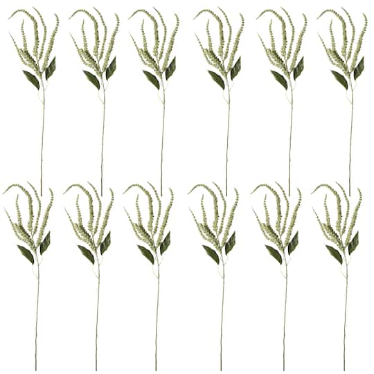 12 Pack: Green Amaranthus Stem by Ashland®